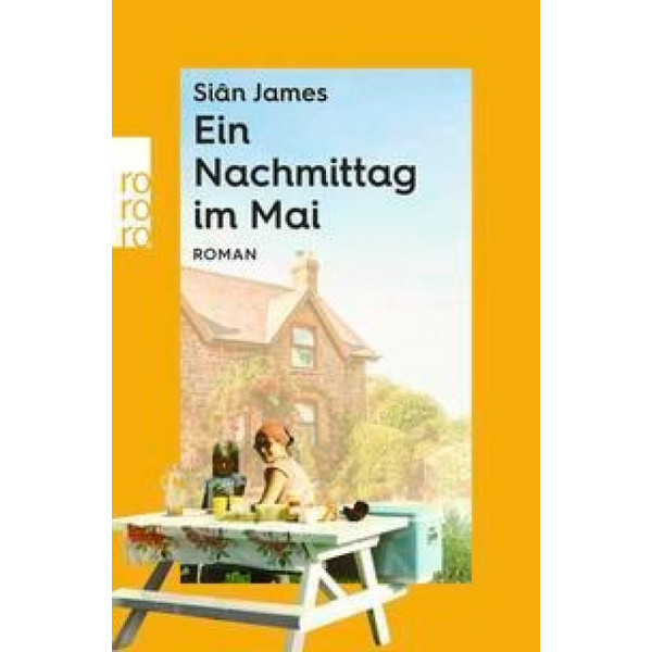 NACHMITTAG IM MAI - Roman