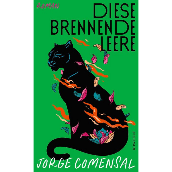 DIESE BRENNENDE LEERE - Roman Ansicht 1