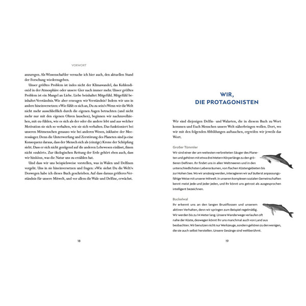WIR WALE - Sachbuch Ansicht 5