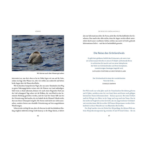 WIR WALE - Sachbuch Ansicht 6