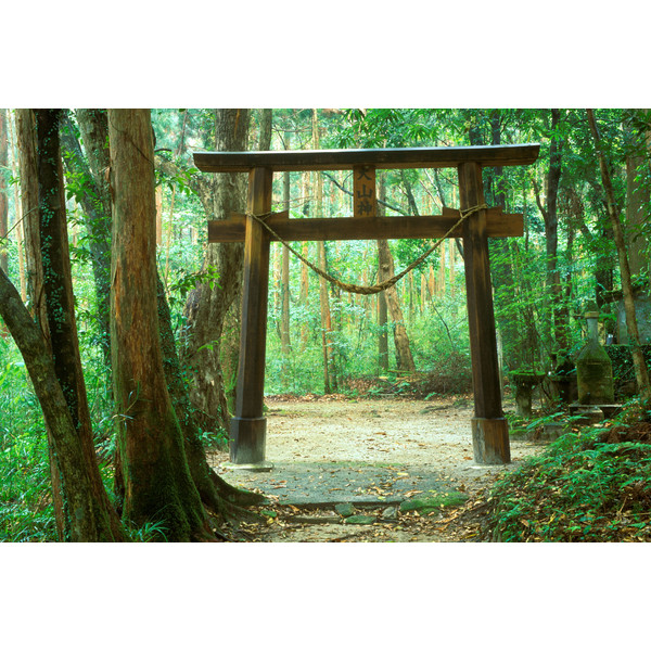 SECRET PLACES JAPAN - Bildband Ansicht 4