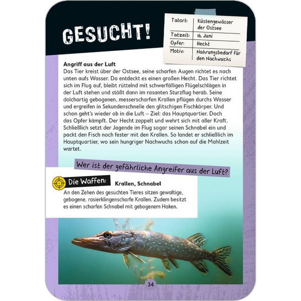 EXPEDITION NATUR - TATORT NATUR - Reisespiel Ansicht 2