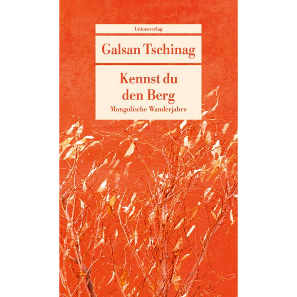 KENNST DU DEN BERG - Roman Ansicht 1