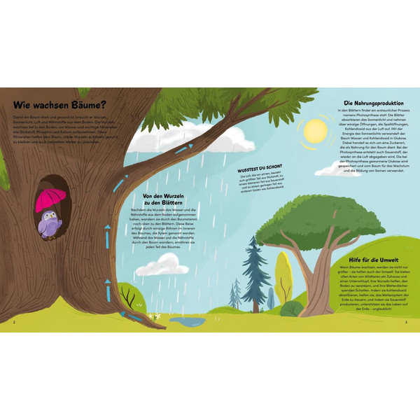 DAS KLEINE BUCH DER BÄUME - Kinderbuch Ansicht 2