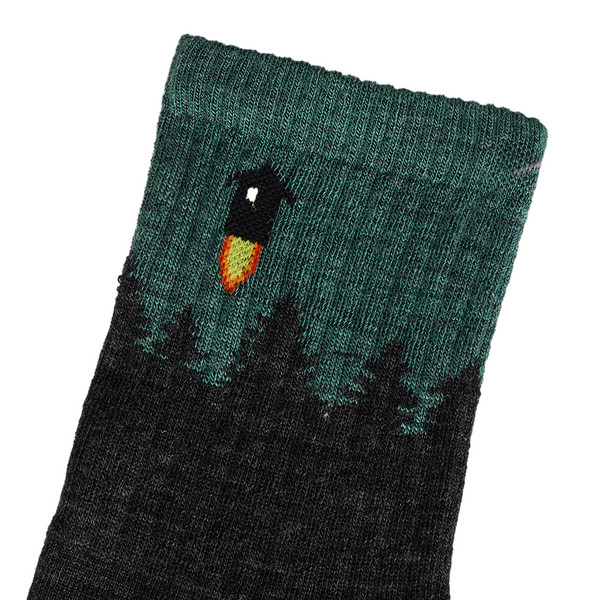 Darn Tough NUMBER 2 MICRO CREW MIDWEIGHT CUSHION Herren - Merinowollsocken Ansicht 3