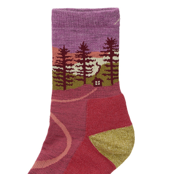 Darn Tough NORTHWOODS MICRO CREW MIDWEIGHT WITH CUSHION Damen - Wandersocken Ansicht 3