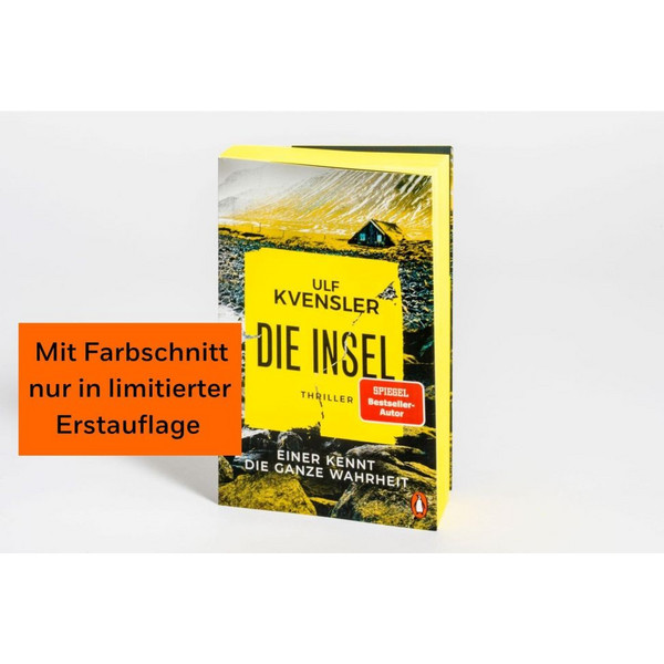 DIE INSEL - EINER KENNT DIE GANZE WAHRHEIT - Thriller Ansicht 2