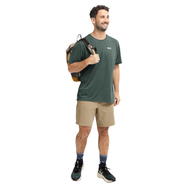 Jack Wolfskin PICO SHORTS M Herren - Shorts Ansicht 5