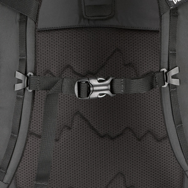 Patagonia REFUGIO DAY PACK 30L - Tagesrucksack Ansicht 8