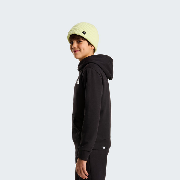 The North Face TEEN SIMPLE DOME LIGHT REG HOODIE Kinder - Hoodie Ansicht 5