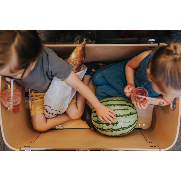 Jipfish WAGON Ansicht 33