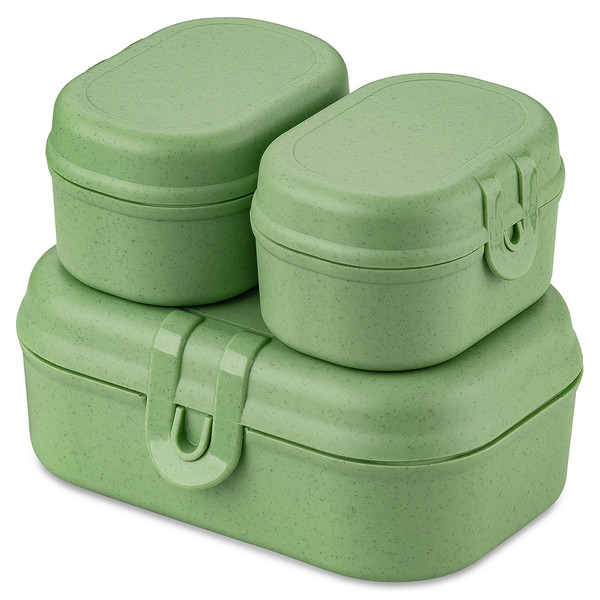 LUNCH BOX SET PASCAL READY MINI SET OF 3 - Dose-NATURE LEAF GREEN