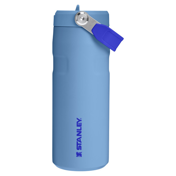 THE ICEFLOW FLIP STRAW 2.0 BOTTLE - Trinkflasche