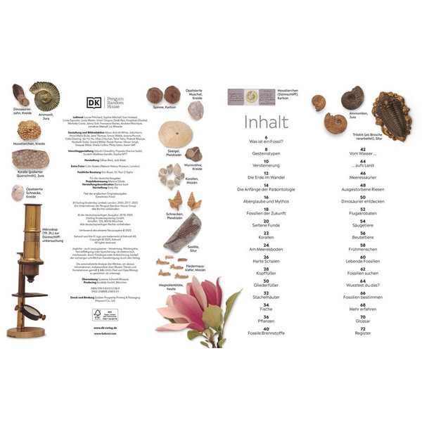 MEMO WISSEN FOSSILIEN - Kinderbuch Ansicht 2