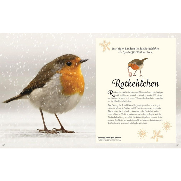 WUNDERVOLLE WELT DER VÖGEL - Sachbuch Ansicht 2