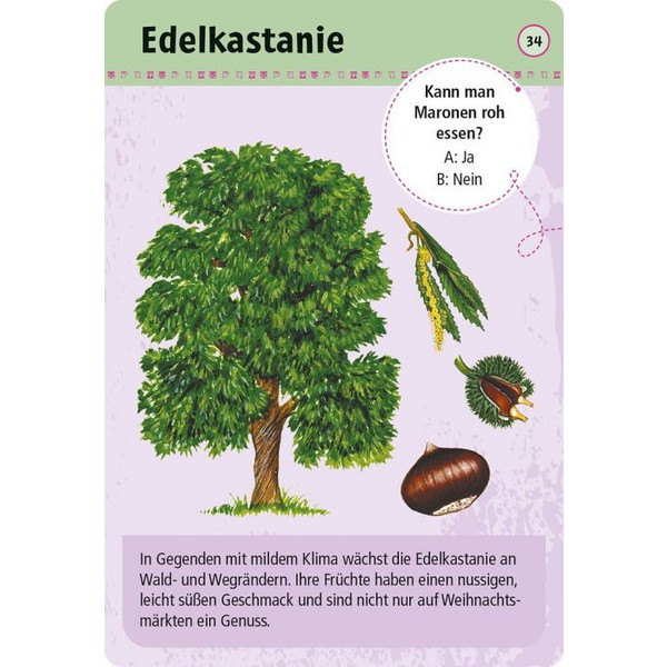 Moses Verlag EXPEDITION NATUR 50 ESSBARE WILDPFLANZEN - Reisespiel Ansicht 4