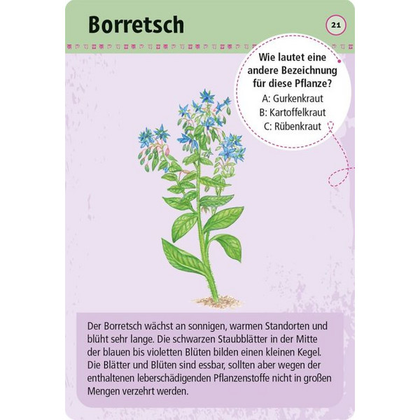 Moses Verlag EXPEDITION NATUR 50 ESSBARE WILDPFLANZEN - Reisespiel Ansicht 2