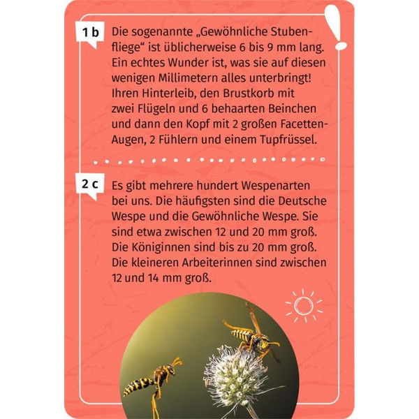Moses Verlag MEIN BECHERLUPEN-FORSCHERQUIZ - Reisespiel Ansicht 3