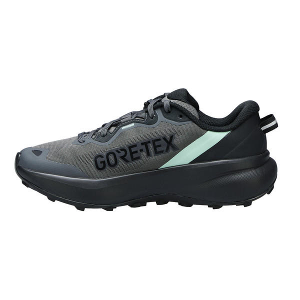 Adidas TERREX TRACEFINDER PLUS GTX W Damen - Trailrunningschuhe Ansicht 3