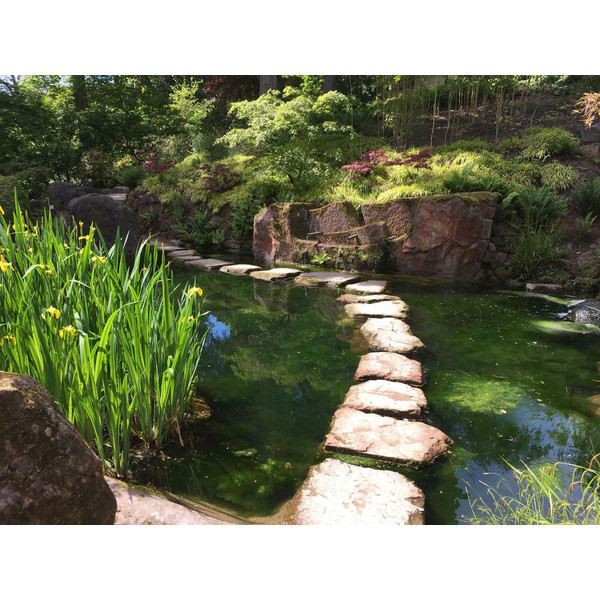 GARTENREISEN - BOTANISCHE GÄRTEN UND PARKS IN DEUTSCHLAND - Reiseführer Ansicht 3