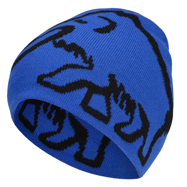 MAMMUT LOGO BEANIE REVERSIBLE Unisex - Mütze-EIGER BLUE-BLACK