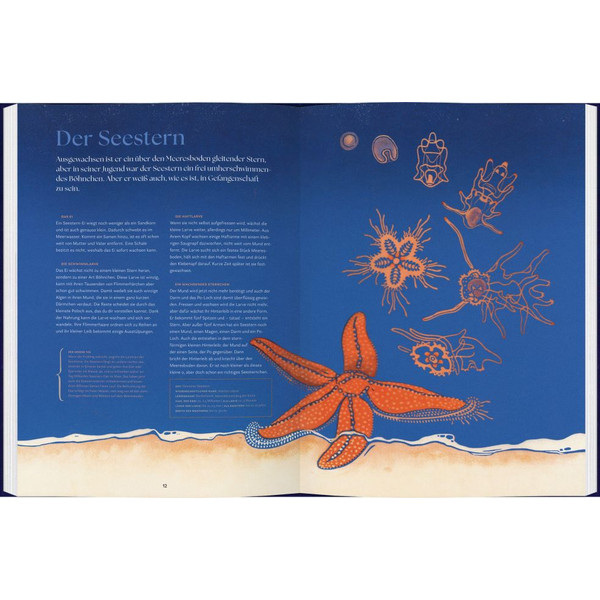 VERWANDELT - Kinderbuch Ansicht 2