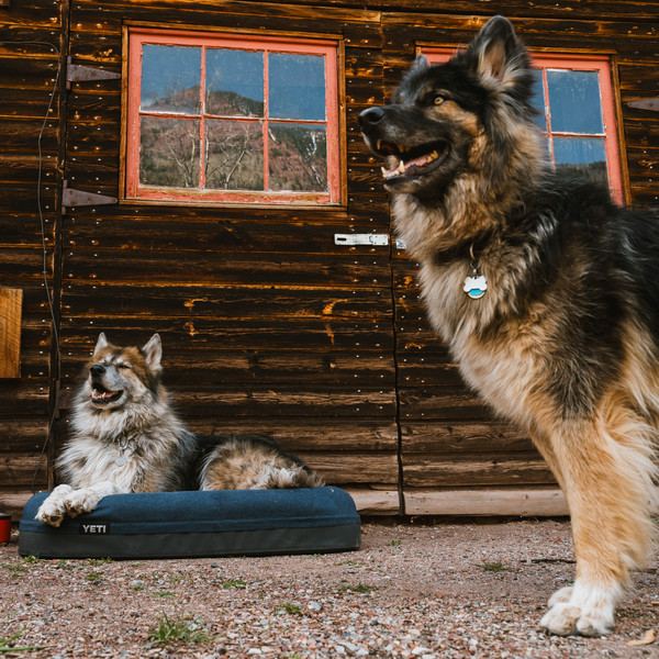 Yeti Coolers DOG BED LARGE - Hundezubehör Ansicht 6