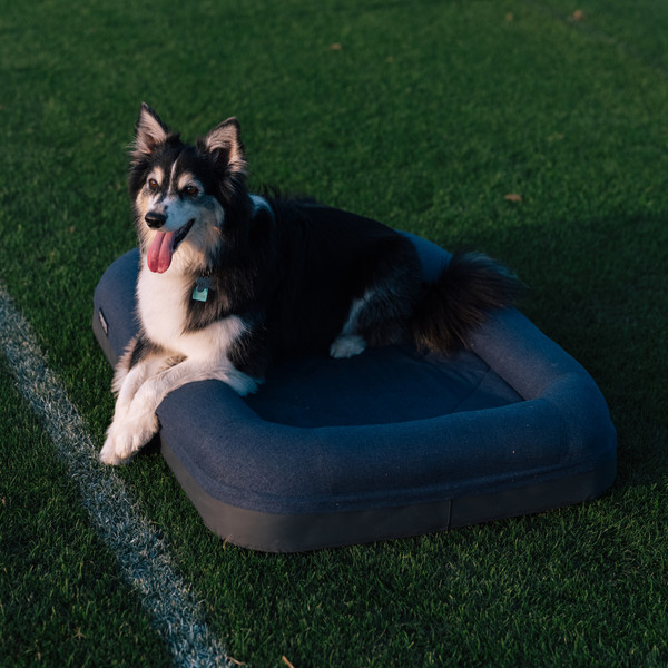 Yeti Coolers DOG BED SMALL - Hundezubehör Ansicht 8