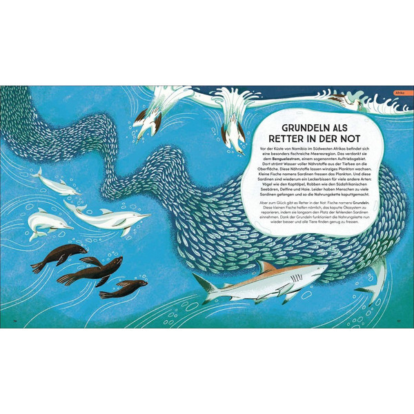 TIERISCH WICHTIG! - Kinderbuch Ansicht 2