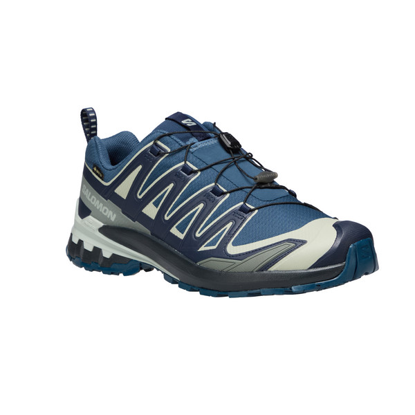 Salomon XA PRO 3D V9 GORE-TEX Herren - Wanderschuhe Ansicht 2