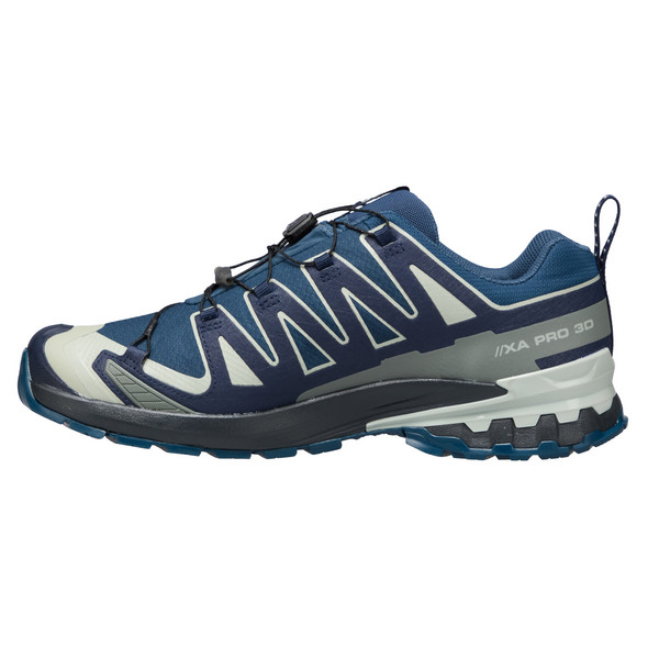 Salomon XA PRO 3D V9 GORE-TEX Herren - Wanderschuhe Ansicht 3