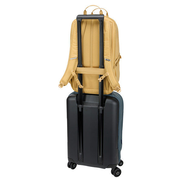Thule ENROUTE BACKPACK 26L PALE YELLOW - Tagesrucksack Ansicht 12