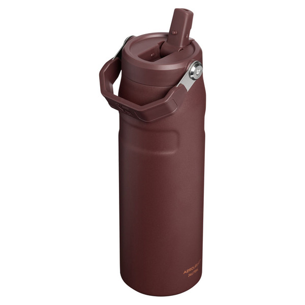 Stanley THE ICEFLOW FLIP STRAW 2.0 BOTTLE - Trinkflasche Ansicht 2