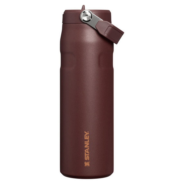THE ICEFLOW FLIP STRAW 2.0 BOTTLE - Trinkflasche