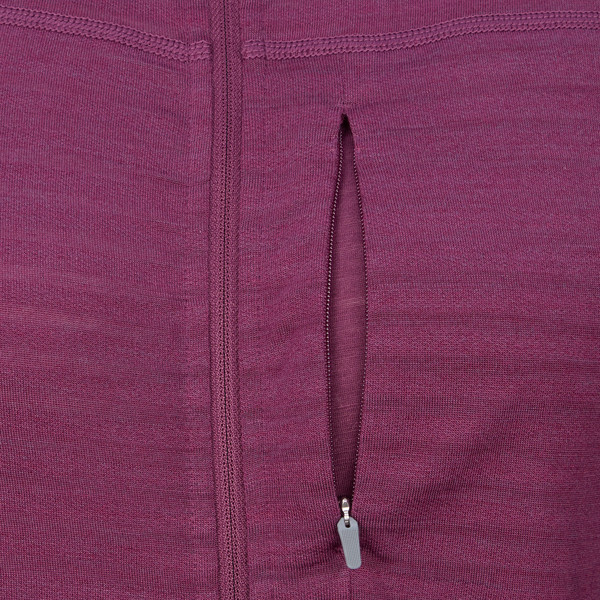 Icebreaker WOM MERINO 300 REALFLEECE DESC LS ZIP HOO Damen - Kapuzenjacke Ansicht 4