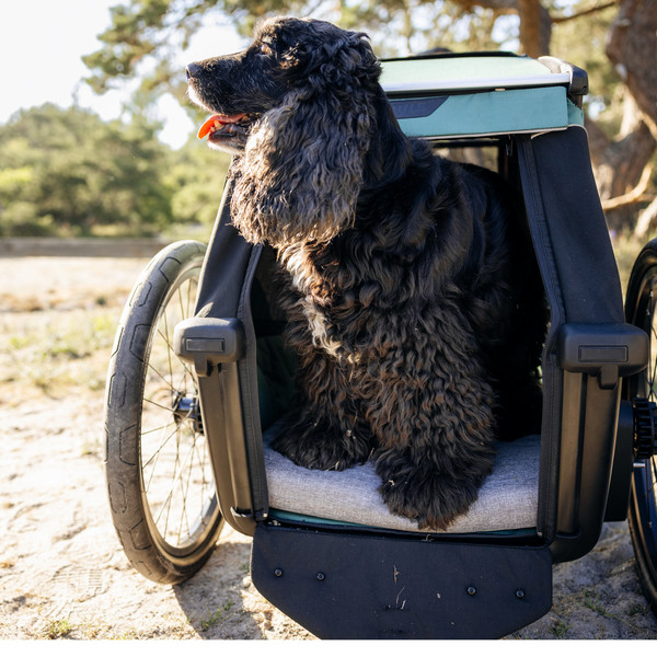 Thule BEXEY DOG BED M Ansicht 3