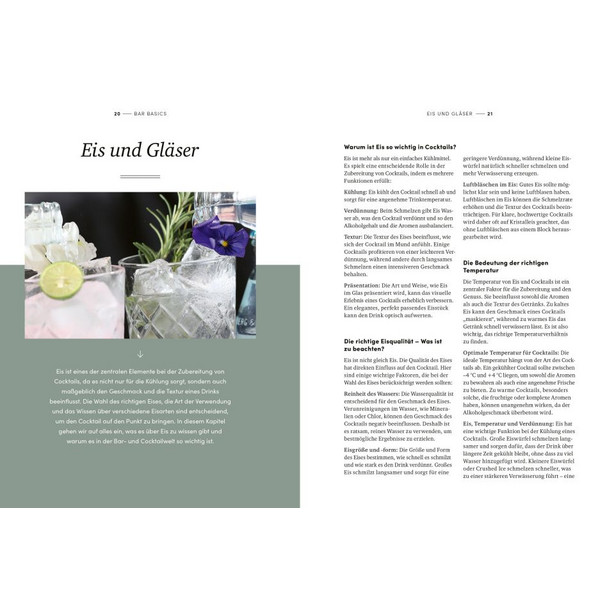 COCKTAIL ESSENTIALS Ansicht 2