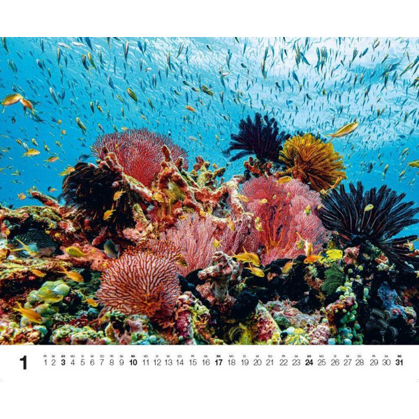 DIVE 2027 - Kalender Ansicht 2