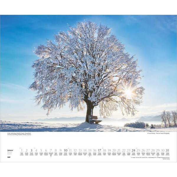 HEIMISCHE BÄUME 2027 - Kalender Ansicht 2