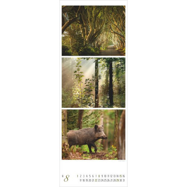 WALDLEBEN - TRIPLETS 2027 - Kalender Ansicht 2