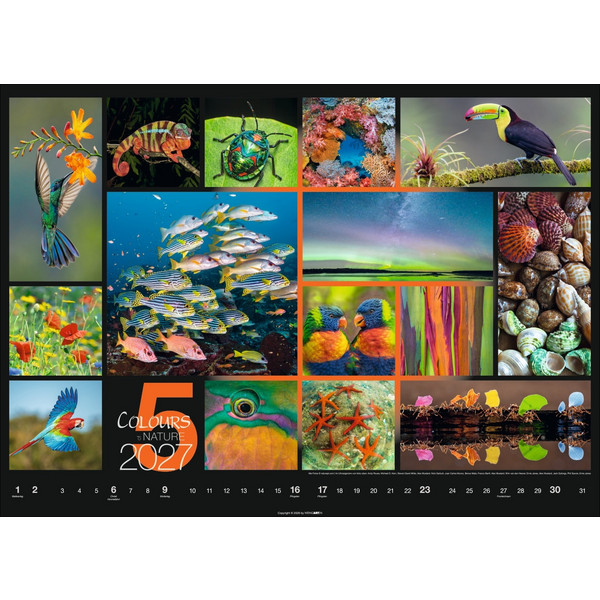 COLOURS OF NATURE KALENDER 2027 Ansicht 6