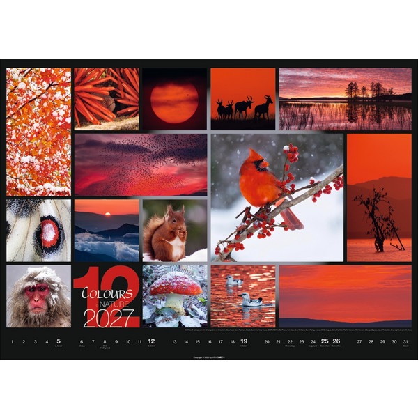 COLOURS OF NATURE KALENDER 2027 Ansicht 13