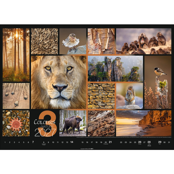 COLOURS OF NATURE KALENDER 2027 Ansicht 4