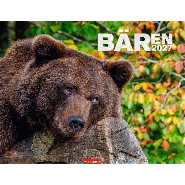 BÄREN KALENDER 2027 Ansicht 1