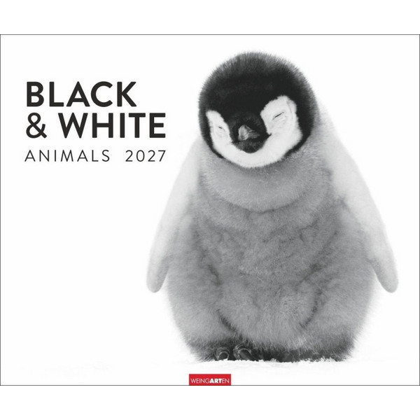 & WHITE ANIMALS 2027 - Kalender