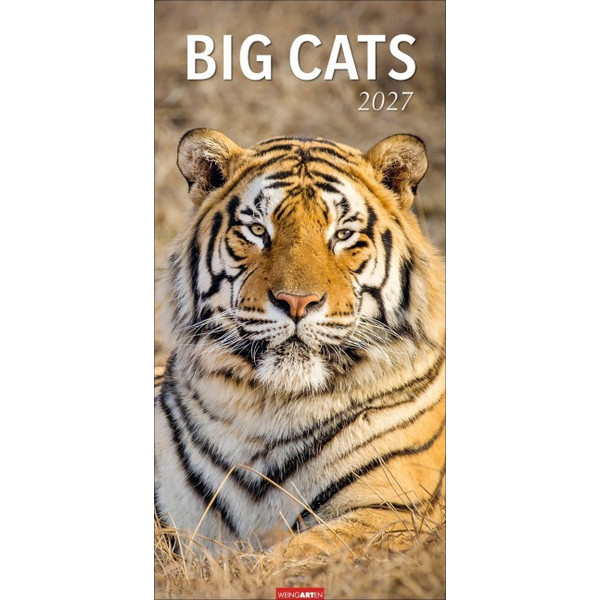 CATS KALENDER 2027