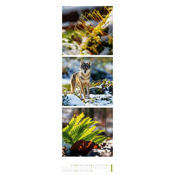 NATURE TRIPLET-KALENDER 2027 Ansicht 2