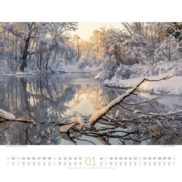 WALD KALENDER 2027 Ansicht 2