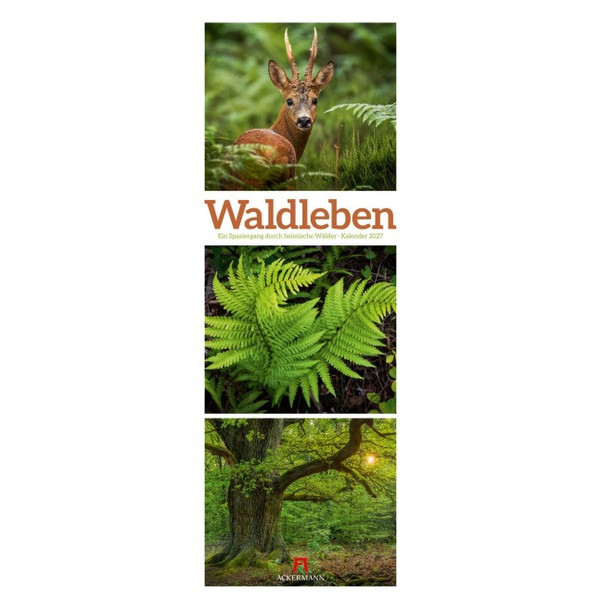 TRIPLET-KALENDER 2027