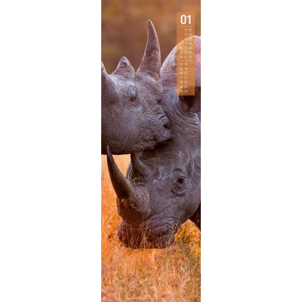 AFRIKA VERTIKAL KALENDER 2027 Ansicht 2